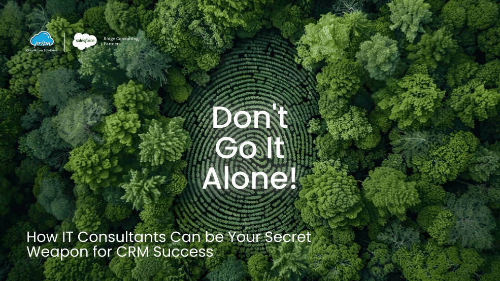 salesforce consultation and Implementation partner