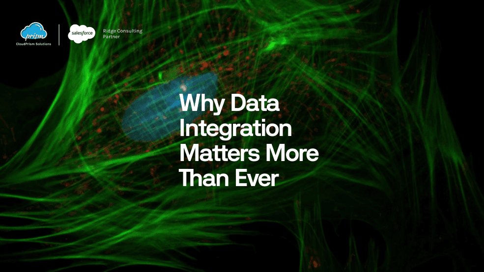 salesforce consultation and Implementation partner