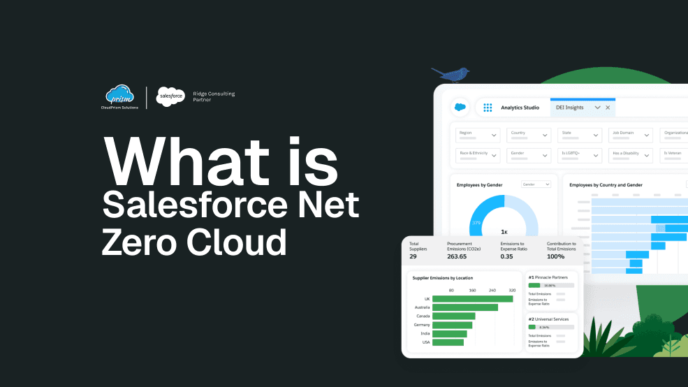 salesforce consultation and Implementation partner